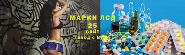 ПСИЛОЦИБИНОВЫЕ ГРИБЫ Алексин