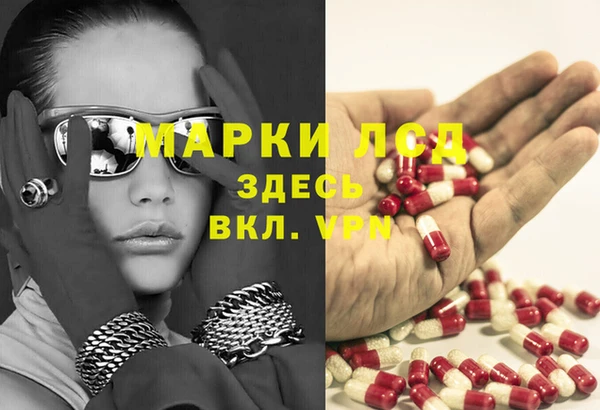 прущие грибы Видное