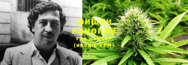 ПСИЛОЦИБИНОВЫЕ ГРИБЫ Алексин