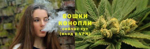 гашик Снежногорск