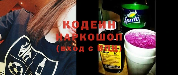 гашик Снежногорск