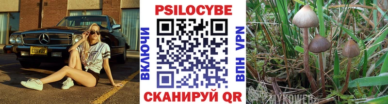 Псилоцибиновые грибы Cubensis  гидра рабочий сайт  Венёв  наркошоп 